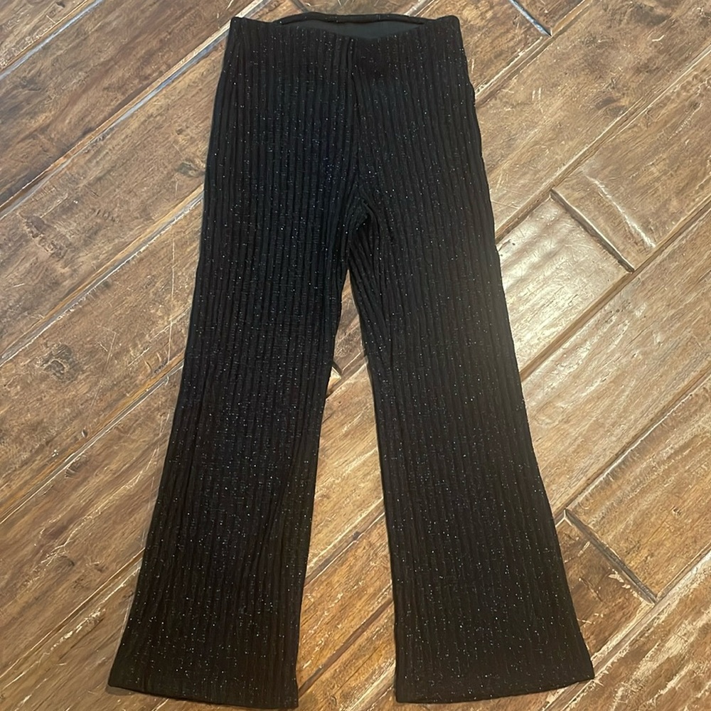 NEW Zara sparkly black pants